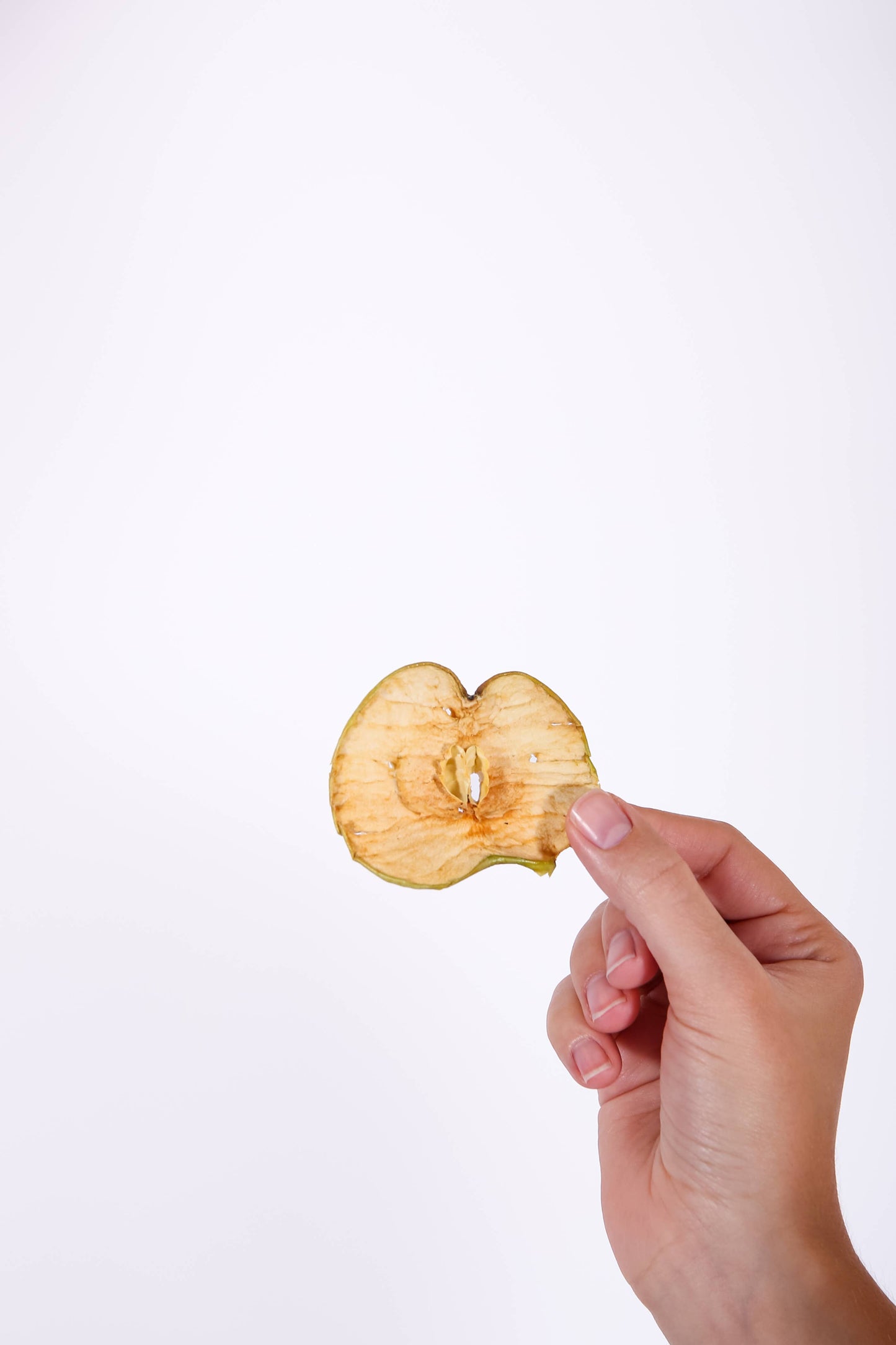 Dehydrated Apple Slice Garnish -